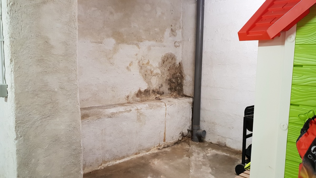 Infiltrations d'eau - Expertise humidité à Mulhouse